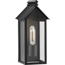 Point Dume-Dunemere 14" Tall Outdoor Wall Sconce with Clear Glass Shade