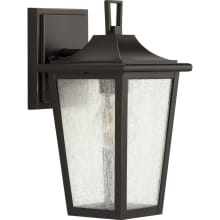 Padgett 11" Tall Outdoor Wall Sconce with Seedy Glass Shade
