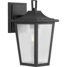 Padgett 11" Tall Outdoor Wall Sconce with Seedy Glass Shade
