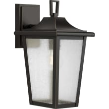 Padgett 15" Tall Outdoor Wall Sconce with Seedy Glass Shade