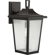 Padgett 19" Tall Outdoor Wall Sconce with Seedy Glass Shade
