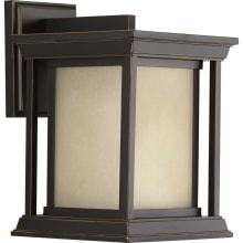 Endicott Single Light 10-1/2" High Outdoor Wall Sconce with Clear Seeded Glass Shade