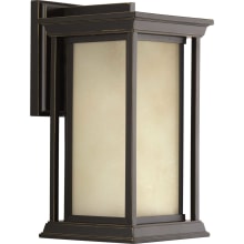 Endicott Single Light 14-1/4" High Outdoor Wall Sconce with Clear Seeded Glass Shade