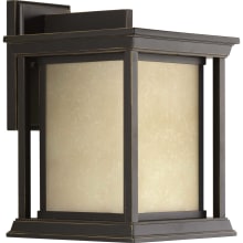 Endicott Single Light 12-1/2" High Outdoor Wall Sconce with A Seedy Glass Shade