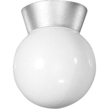 Utility Lantern Series Single-Light Outdoor Ceiling Fixture with Powder Coated Finish and 6" White Glass Globe
