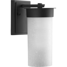 Hawthorne Single Light 5" Outdoor Wall Sconce with Etched Seeded Shade