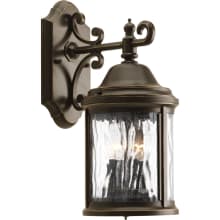 Ashmore 2 Light Outdoor Wall Sconce with Seedy Glass Shade - 15" Tall