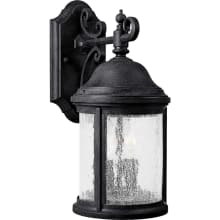 Ashmore 2 Light Outdoor Wall Sconce with Seedy Glass Shade - 15" Tall