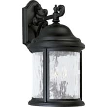 Ashmore 3 Light Outdoor Wall Sconce with Seedy Glass Shade - 17" Tall