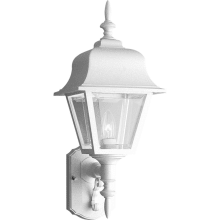 Non-Metallic 1 Light 20" Tall Outdoor Wall Sconce with Beveled Acrylic Panels