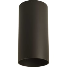 Cylinder Flush Mount Outdoor Ceiling Fixture - 6" Wide by 12" Tall