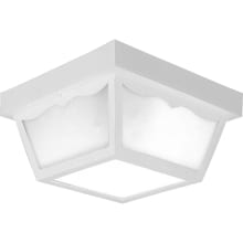 2 Light Flush Mount Outdoor Ceiling Fixture - 10" Wide