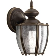 Roman Coach 1 Light 10" Tall Outdoor Wall Sconce with Clear Seeded Glass Panels