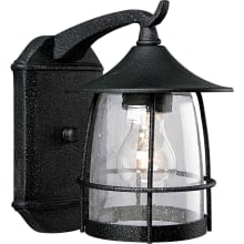 Prairie 1 Light Outdoor Wall Sconce with Seedy Glass Shade - 9" Tall