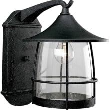 Prairie 1 Light Outdoor Wall Sconce with Seedy Glass Shade - 14" Tall