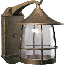 Prairie 1 Light Outdoor Wall Sconce with Seedy Glass Shade - 14" Tall