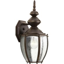 Roman Coach 1 Light 15" Tall Outdoor Wall Sconce with Clear Seeded Glass Panels