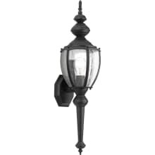 Roman Coach 1 Light 19" Tall Outdoor Wall Sconce with Clear Seeded Glass Panels