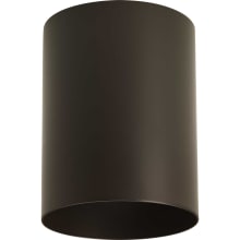 Cylinder 5" Wide LED Indoor/Outdoor Flush Mount Ceiling Fixture