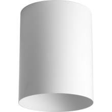 Cylinder 1 Light Flush Mount Outdoor Ceiling Fixture - 5" Wide