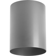 Cylinder 5" Wide LED Indoor/Outdoor Flush Mount Ceiling Fixture