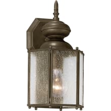 Roman Coach 1 Light 13" Tall Outdoor Wall Sconce with Clear Seeded Glass Panels
