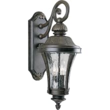 Nottington 2 Light 20" Tall Outdoor Wall Sconce with Water Seeded Glass