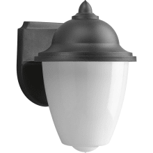 Progress Lighting P5612-31 Polycarbonate Clear Lexan Diffuser Black