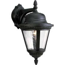 Westport 1 Light 16" Tall Outdoor Wall Sconce with Clear Seeded Glass