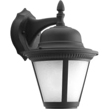 Westport LED Outdoor Wall Sconce with White Seeded Glass - 13" Tall