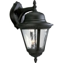 Westport 2 Light 19" Tall Outdoor Wall Sconce with Clear Seeded Glass