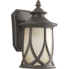 Resort 1 Light 11" Tall Outdoor Wall Sconce with Umber Etched Glass Shade