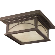 Residence Outdoor Ceiling Fixture with 2 Lights - 12" Wide
