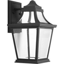 Endorse LED Outdoor Wall Sconce with Clear Glass - 15" Tall