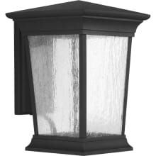 Arrive LED Outdoor Wall Sconce with Seedy Glass - 13" Tall