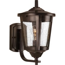 East Haven 1 Light 13" Tall Outdoor Wall Sconce with Seeded Glass Shade