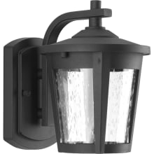 East Haven LED 1 Light 8" Tall Outdoor Wall Sconce with Seeded Glass Shade