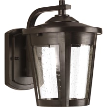 East Haven LED 1 Light 10" Tall Outdoor Wall Sconce with Seeded Glass Shade