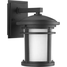 Wish 1 Light 10" Tall Outdoor Wall Sconce with Etched Glass Diffuser