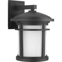 Wish LED 1 Light 13" Tall Outdoor Wall Sconce with Etched Glass Diffuser