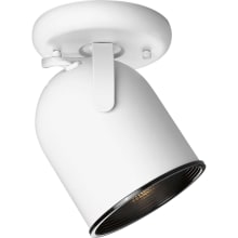 Directional Series 7" Single-Light Fully Adjustable PAR-30 Round-Back Semi-Flush Mount Ceiling Fixture with Black Baffle and Steel Construction