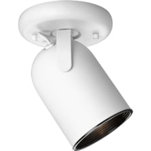 Directional Series 5" Single-Light Fully Adjustable PAR-20 Pinhole-Back Wall or Ceiling Fixture