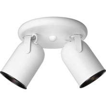 Directional Series 8-1/8" Two-Light Fully Adjustable PAR-20 Round-Back Wall or Ceiling Fixture