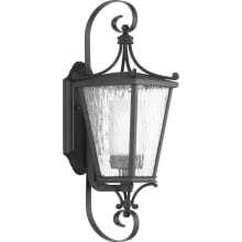 Cadence 19" Tall Outdoor Wall Sconce