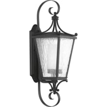 Cadence 25" Tall Outdoor Wall Sconce