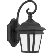 Crawford 13" Tall Outdoor Wall Sconce