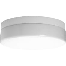 Hard-Nox 13-3/4" Convertible Two Light Energy Efficient Outdoor Flush Mount Ceiling Fixture / Wall Sconce with 120V Rapid Start NPF Ballast and White Acrylic Shade