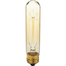 Single 40W E26 Medium Base T10 Shape Vintage Edison Incandescent Light Bulb