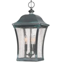 Bardstown 3 Light 10" Wide Outdoor Pendant