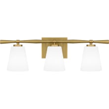 Brindley 3 Light 24" Wide Vanity Light with Frosted Glass Shades
